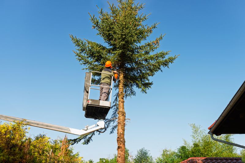 Tree Installation Service detail