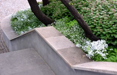Retaining Wall and Plantings