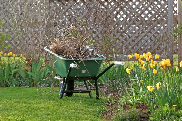 Flower Bed Cleanup Service in Huntersville