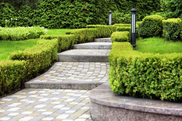 Backyard Remodeling