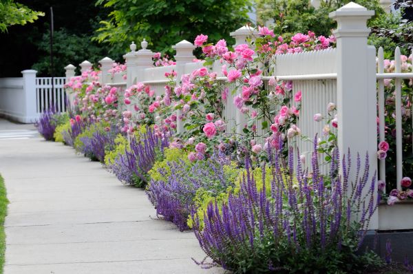 Garden Handyman Service in Huntersville