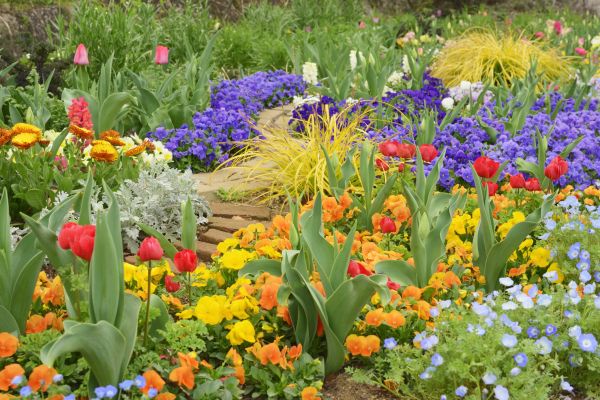 Garden Renovation Service