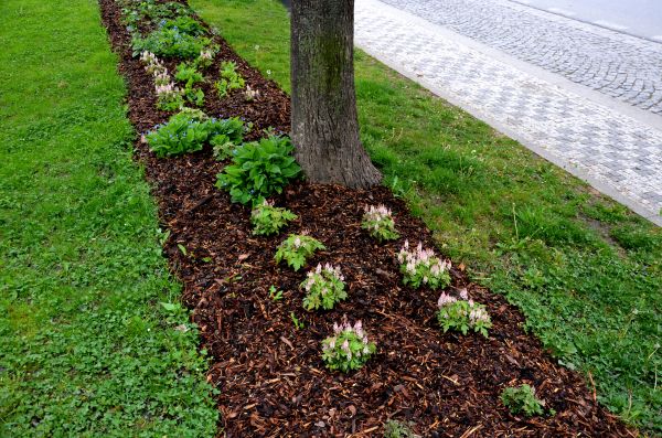 Mulch Replacement Service in Huntersville