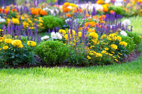 Garden Installation in Huntersville