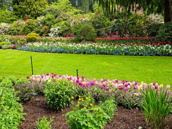 Residential Landscape Design in Huntersville
