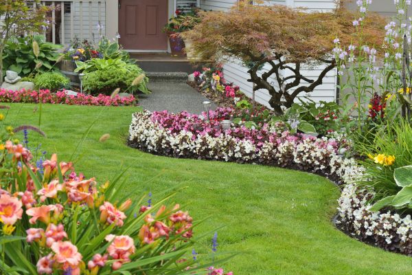 Perennial Landscaping in Huntersville
