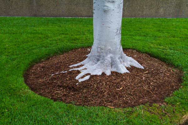 Brown Mulch Installation in Huntersville