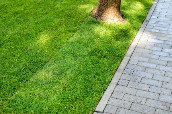 Border Stone Installation in Huntersville