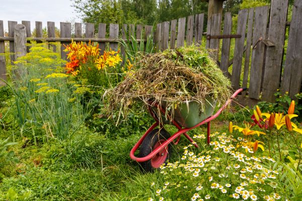 Garden Cleanup Service in Huntersville