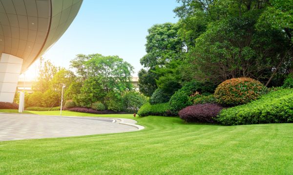 Business Landscape Design in Huntersville