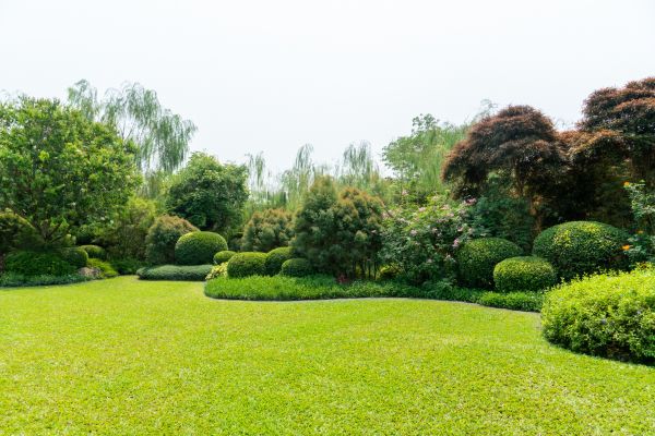 Tree Landscaping in Huntersville