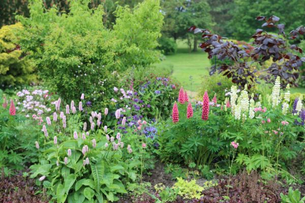 Flower Bed Planting in Huntersville