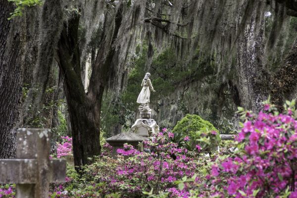 Cemetery Landscaping in Huntersville