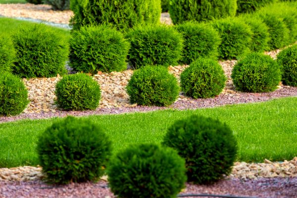 Bush Installation in Huntersville