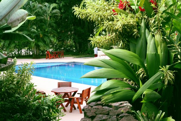 Pool Area Landscaping in Huntersville