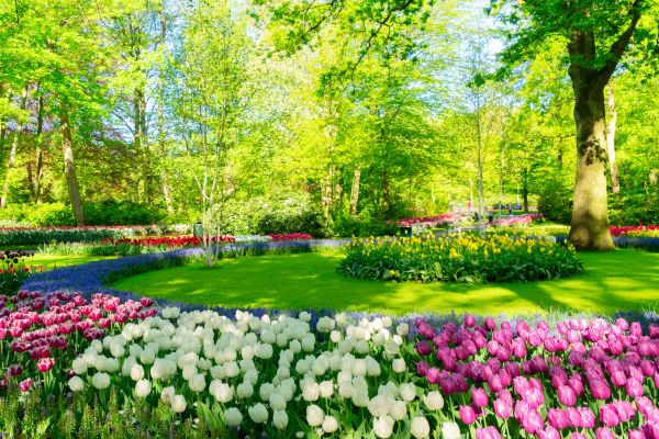 Flower Landscaping in Huntersville