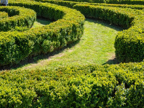 Bush Landscaping in Huntersville