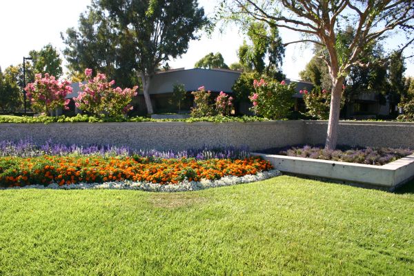 Commercial Landscape Service in Huntersville