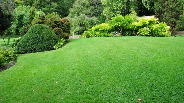 Commercial Landscape Design in Huntersville