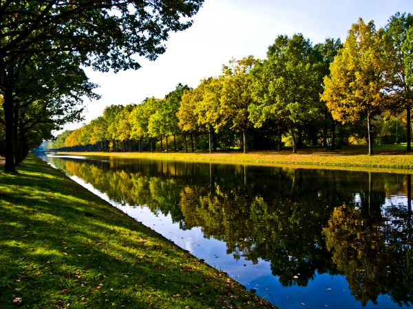 Bank Landscaping in Huntersville