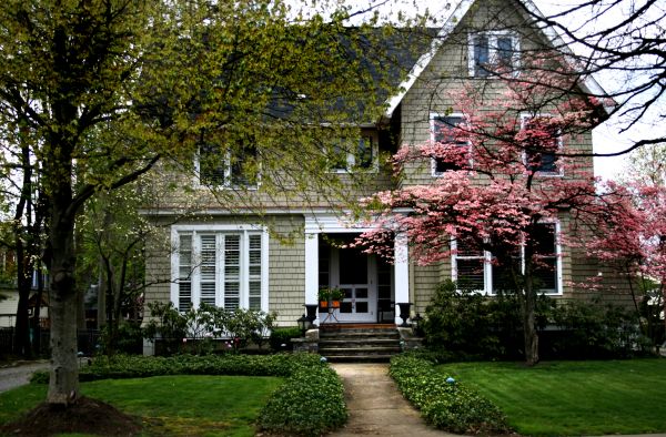 Ornamental Tree Planting in Huntersville