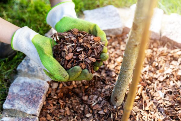 Tree Bark Delivery in Huntersville