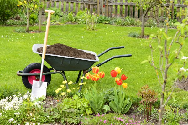 Spring Yard Renovation in Huntersville