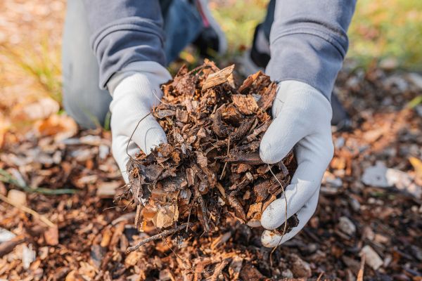 Shredded Mulch Installation in Huntersville