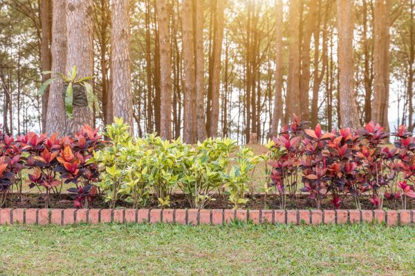 Small Garden Landscaping in Huntersville