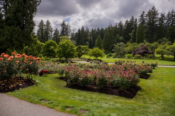 Flower Garden Landscaping in Huntersville